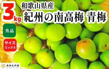 【2024年6月上旬出荷】青梅 南高梅 3kg 秀品 サイズミックス （訳あり）  和歌山県産 A品 梅酒作り用 梅ジュース作り用