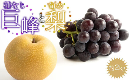 �m��s�\��n��Ȃ�����Ə{�̗��@��Qkg�m2026�N8����{�ȍ~���������n