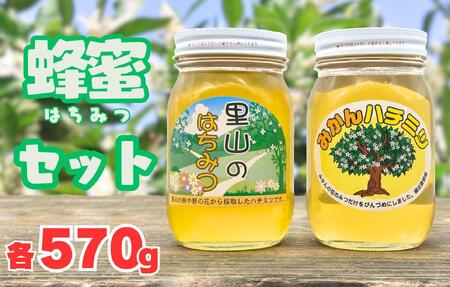 ありだみかん蜂蜜・ありだ里山の蜂蜜(各570g)