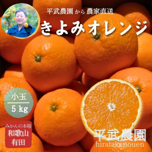 農家直送！きよみオレンジ 小玉5kg［平武農園］～蛍飛ぶ町から旬の便り～［2026年3月下旬から順次発送予定］