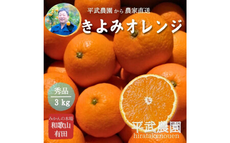 農家直送!きよみオレンジ 3kg ≪秀品≫[平武農園]〜蛍飛ぶ町から旬の便り〜[2026年3月下旬から順次発送予定]