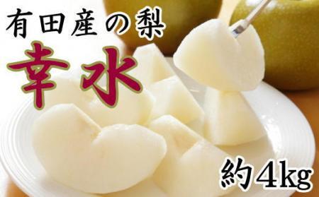 [厳選・産直]有田産の梨(幸水)約4kg★2024年8月より順次発送