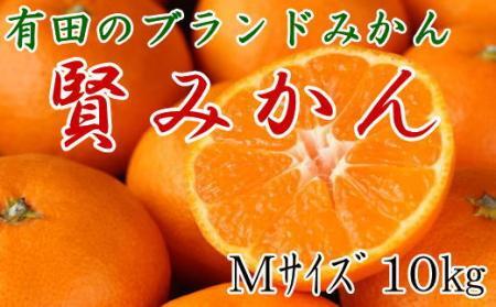 [Gi]Lc̃uhu݂v10kg(MTCY)y2025N11{菇z