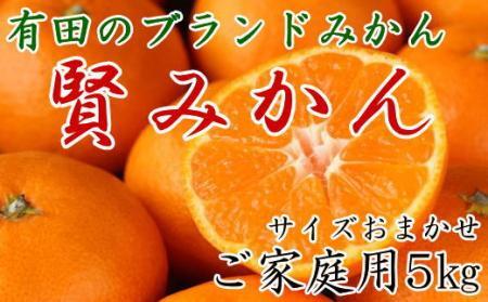 有田のブランド「賢みかん」5kg(S〜Lサイズおまかせ)ご家庭用[2025年11月中旬頃より順次発送]