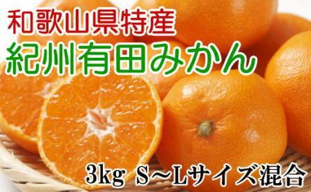 [Gi]a̎RLc݂3kgiS`LTCYj2025N11{菇yTM96z
