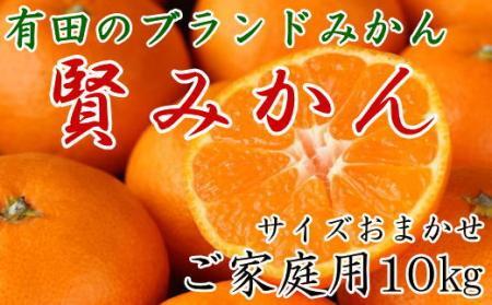 Lc̃uhu݂v10kg(S`LTCY܂jƒpy2025N11{菇z