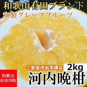 [有田川町]河内晩柑 2kg 和製グレープフルーツ ブラン 和歌山 ブランド 有田みかん ご家庭用