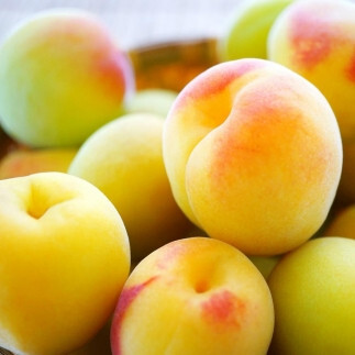 手もぎ 完熟南高梅 5kg 大粒 3Lサイズ以上 谷本農園