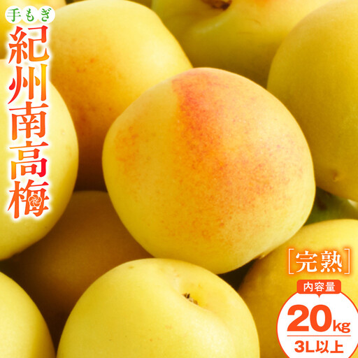 手もぎ 完熟南高梅 20kg 大粒 3Lサイズ以上 谷本農園