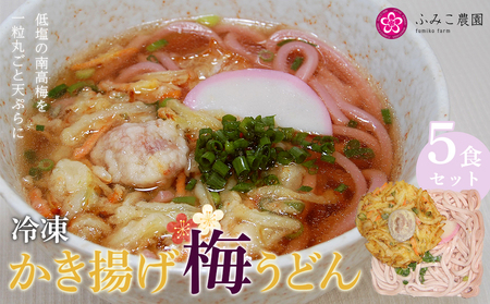 冷凍　かき揚げ梅うどん５食