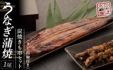 紀州備長炭 炭焼うなぎ蒲焼1本(特大) 炭焼きも串セット うなぎ