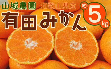 山城農園 和歌山県産 有田みかん 5kg 混サイズ 農園直送 ORYY 人気No.1 口コミ多数 みかん・有田みかん・温州みかん・柑橘みかん・和歌山みかん