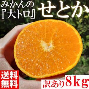 Ƃ ʖ-݂̑g a̎RLc쒬Y IW ƒp 8kg