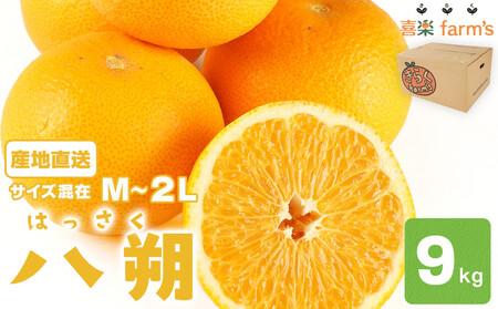 yYnz񁙃TCYځiM`QLj9kg