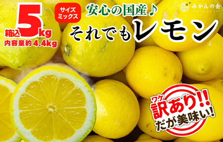 󂠂  Bi  5kg(eʖ4.4kg) a̎RLcYiTCY~bNXjỷ݂z