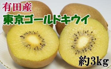【数量限定】キウイフルーツの新品種「東京ゴールドキウイ」約3kg（サイズ混合）★2024年12月中旬頃より順次発送