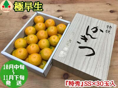 ɑ Lc ݂ ϔ  G  SS TCY 30ʓ ׉ a̎R Lc݂