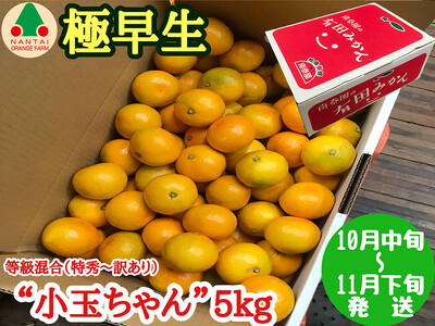 ɑ Lc ݂ ʂ   5kg ׉ a̎R Lc݂