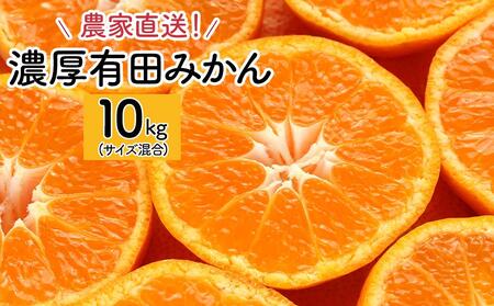 農家直送！濃厚有田みかん10kg(サイズ混合)　みかん・有田みかん・温州みかん・柑橘みかん・和歌山みかん