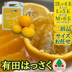 [ふるなびWEEK対象]ちょっと 傷あり 手さげ箱 有田 はっさく 2L ~ M 4~6玉入 南泰園 FN-Limited