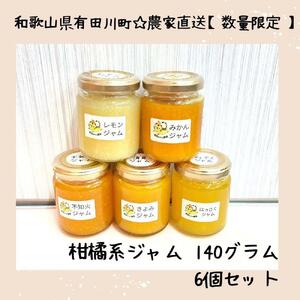 数量限定!みかんの産地から届く 店主にお任せ 無添加 柑橘ジャム140g×6個