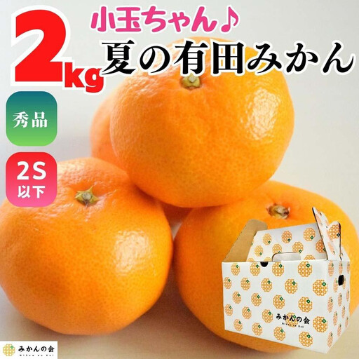 【5月出荷予定】小玉ちゃん ハウスみかん 温室栽培 夏の有田みかん 2kg 秀品 2Sサイズ以下 和歌山県 産地直送 みかんの会