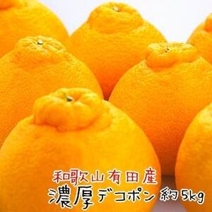 和歌山有田の濃厚デコポン 15〜24玉 約5kg[先行予約][MS78w]