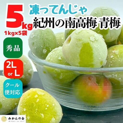 【2026年7月上旬～出荷予定】梅 冷凍 青梅 南高梅 5kg ( 1kg × 5袋) 秀品 2L or Lサイズ 和歌山県産 紀州有田  【みかんの会】