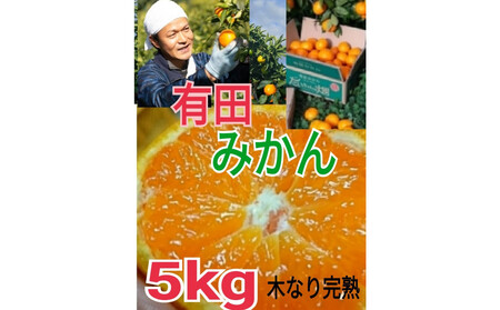 Lc݂  Gi 5kg@ؐ芮nypz傿̔_