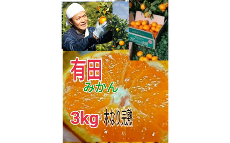 yƒpzLc݂  3kg ir`2kTCY~bNXjؐ芮n 傿̔_