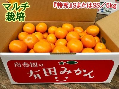 マルチ栽培 有田 みかん 特秀 S または SS サイズ 5kg 南泰園