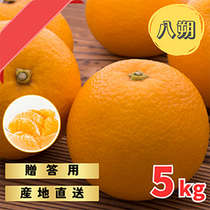 【先行予約】 贈答用 完熟 木なり ハッサク 5kg (M～2Lサイズ)  | 八朔 旬 柑橘 フルーツ 果物 柑 産地直送 箱入 和歌山県