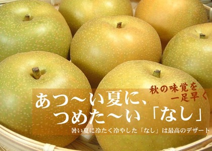 ふるさと納税「豊水」の人気返礼品・お礼品比較 - 価格.com