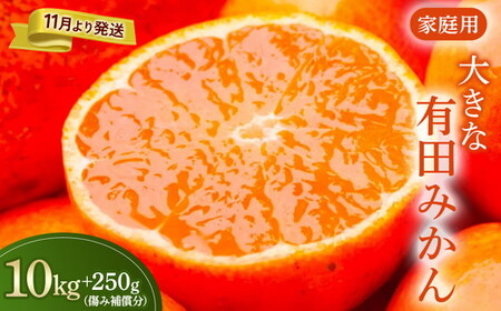 家庭用 大きな有田みかん10kg+250g(傷み補償分)[わけあり・訳あり][光センサー選果] ※北海道・沖縄・離島への配送不可 ※2025年11月上旬〜2026年1月下旬頃に順次発送予定