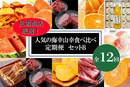 〈毎月定期便〉人気の海幸山幸食べ比べ セットB 【定期便全12回】【魚鶴厳選】◆