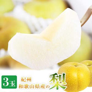 紀州和歌山産の梨 3玉 化粧箱入◇ |梨 梨 梨 梨 梨 梨 梨※離島への配送不可 ※2025年8月下旬頃〜9月上旬頃に順次発送予定