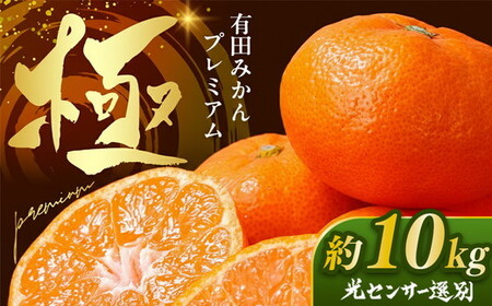 ＼光センサー選別／極 有田みかんプレミアム 約10kg【光センサー 高糖度選別品】2S～Lの小玉サイズ 有機質肥料100% | 光センサー選別 温州みかん みかん 高糖度 柑橘 果物 フルーツ 甘い◇