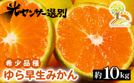 瑁 ݂ ZȖ킢 10kg 󏭕isL@엿100tɑ b R   킹 k ʕ  t[c a̎R Lc 2025N10{`11{ɏ\ k