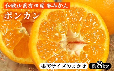 |Jm8kgna̎R LcY t݂ tkyʎTCY܂z b a̎RY k t[c Iɍq{