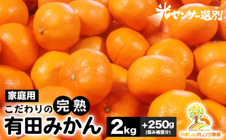 ＼光センサー選別/こだわりの完熟有田みかん 2kg+250g(傷み補償分) [ご家庭用]サイズ混合 有機質肥料100% 
