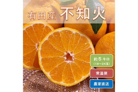 和歌山県有田産 不知火 約5kg(18〜24玉)ひとつひとつ手選別で厳選!生産者から直送 ※2026年2月中旬頃より順次発送予定
