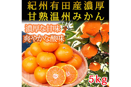 紀州有田産濃厚甘熟温州みかん5kg ※2024年11月下旬?2025年1月下旬頃に順次発送予定?