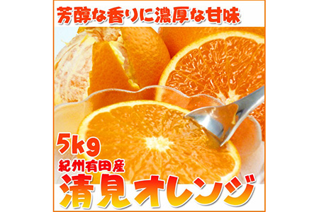 とにかくジューシー清見オレンジ　５kg ※2025年3月下旬～4月中旬頃に順次発送予定