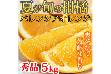 秀品 希少な国産バレンシアオレンジ 5kg ※2026年6月下旬～7月上旬頃に順次発送予定