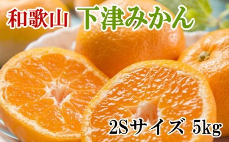 [産直・秀品]和歌山下津みかん 約5kg(2Sサイズ) |みかん ミカン 蜜柑 フルーツ みかん ふるーつ みかん 果物 みかん くだもの みかん 和歌山 みかん※2025年11月中旬〜2026年1月中旬頃に順次発送予定