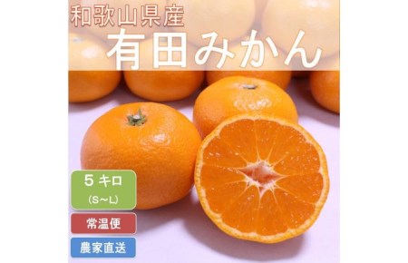 こだわりの和歌山県産 有田みかん 5kg(S〜Lサイズおまかせ)ひとつひとつ手選別で厳選!生産者から直送 