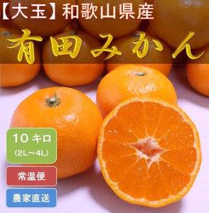 [大玉]和歌山県産 有田みかん10kg(2L〜4Lサイズおまかせ)ひとつひとつ手選別で厳選!生産者から直送 | みかん みかん みかん みかん みかん ※2025年11月下旬頃より順次発送予定