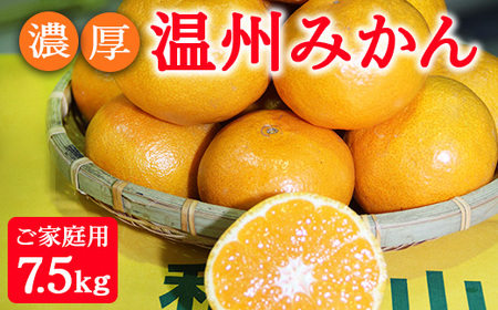 濃厚温州みかんご家庭用7.5kg(和歌山天田みかん)◆ みかんの産地和歌山 北村農園直送 ※2025年12月上旬頃より順次発送予定