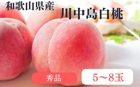 和歌山県産 川中島白桃 桃 5〜8玉入り 秀品 先行予約 | 和歌山県 川中島 白桃 フルーツ 果物 くだもの 桃 もも 大玉 モモ ピーチ ギフト お取り寄せ 贈答用 秀 家庭用 自宅用 贈答品 化粧箱入