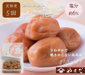 【定期便/2か月ごと/全5回】紀州南高梅「花」塩分約6％（850g） | 梅干し 減塩